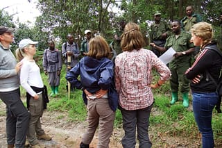 wildlife safari